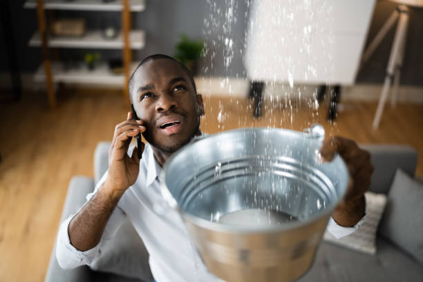 Best Professional water damage repair  in USA